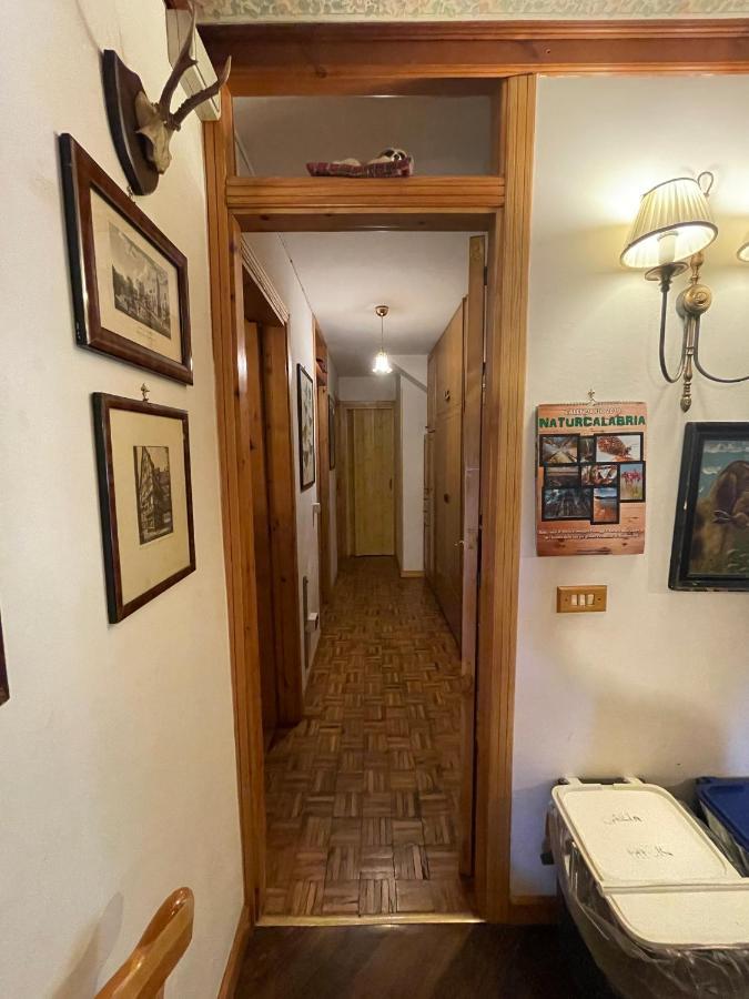 La Veranda Nella Neve - Camigliatello Silano Εξωτερικό φωτογραφία