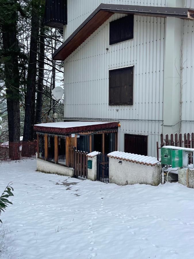 La Veranda Nella Neve - Camigliatello Silano Εξωτερικό φωτογραφία