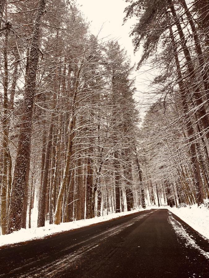 La Veranda Nella Neve - Camigliatello Silano Εξωτερικό φωτογραφία